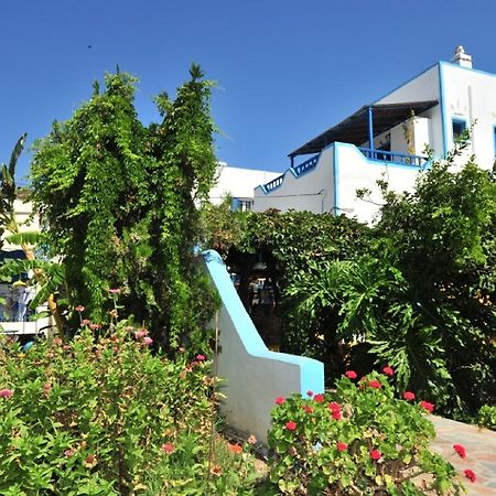 קטאפולה Pension Titika מראה חיצוני תמונה